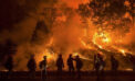 california wildfires fire As California burns, so does our winter lettuce