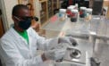 biochar Agricultural and forestry waste fanning the flames of innovation