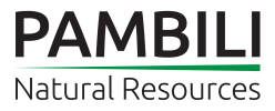 Pambili Announces Results of Annual and Special Shareholder Meeting