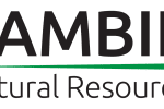 Pambili Signs Option to Purchase the London Wall Group of Gold Mines