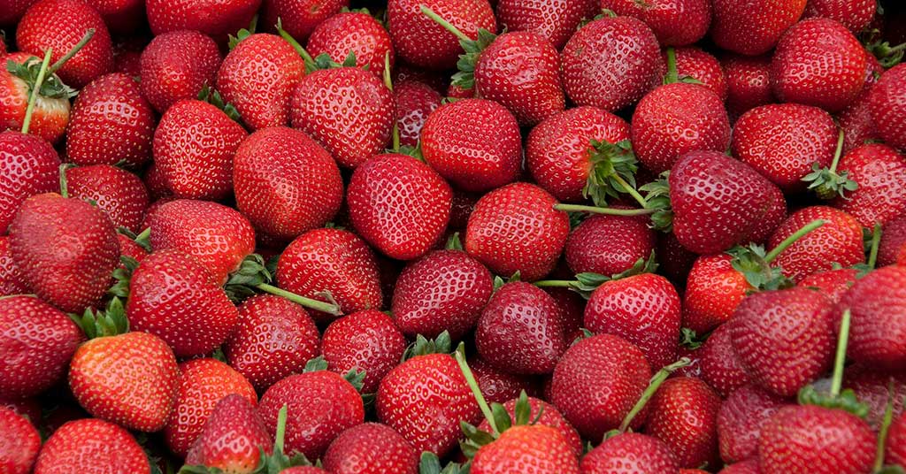 Strawberries at $17? Know what local produce should really cost in Canada, and why calling out price abuse matters