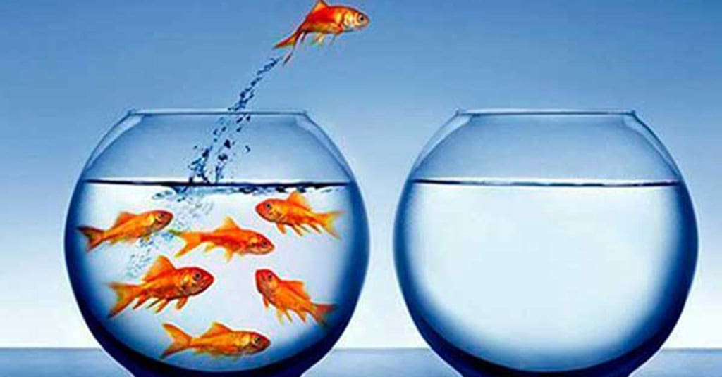 Four words that will help you get hired