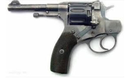 Failed pilot project shows gun confiscation must be scrapped