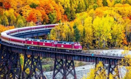 A beaver dam cut our 2017 Agawa Canyon train ride short